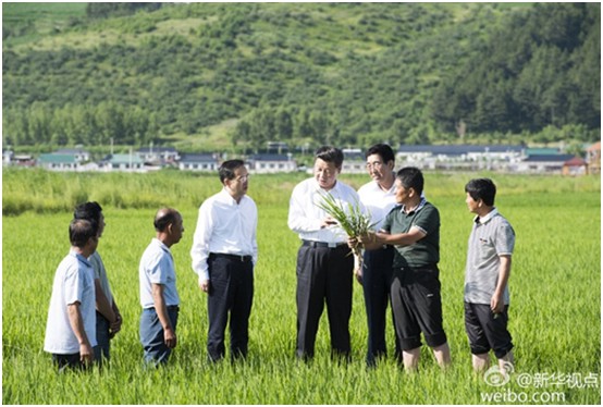 海利集團,長(cháng)沙殺蟲劑,長(cháng)沙光(guāng)氣衍生物(wù),長(cháng)沙氨基酸保護劑,長(cháng)沙锂離子電池材料